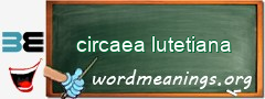 WordMeaning blackboard for circaea lutetiana